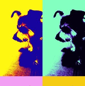 FINAL SALE ON ALL ITEMS!